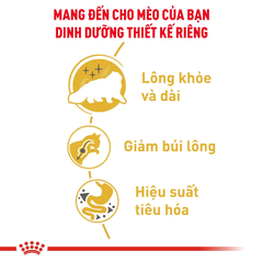 Hạt Cho Mèo Ba Tư Trưởng Thành Royal Canin Persian Adult
