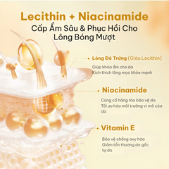 Snack cho thú cưng hỗ trợ da lông khỏe mượt Dr.Vet