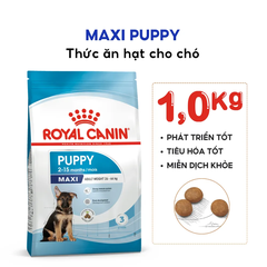 Thức Ăn Hạt Cho Chó Maxi Puppy