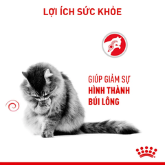 Thức Ăn Hạt Cho Mèo Tiêu Búi Lông Royal Canin Hairball