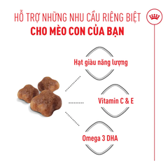 Thức Ăn Hạt Cho Mèo Mẹ & Mèo Con Royal Canin Mother & Babycat