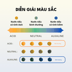 Cát Vệ Sinh Cho Mèo PETKIT Giúp Theo Dõi Nước Tiểu