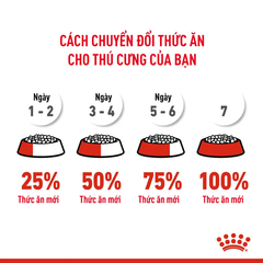 Thức Ăn Hạt Cho Mèo Con Royal Canin Kitten