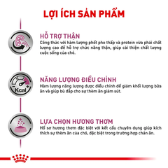 Pate Cho Chó Renal 410g