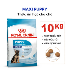 Thức Ăn Hạt Cho Chó Maxi Puppy