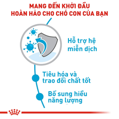 Thức Ăn Hạt Cho Chó Xsmall Puppy