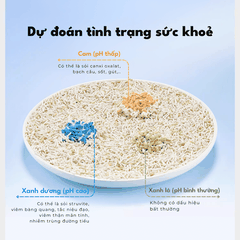 Cát Vệ Sinh Cho Mèo PETKIT Giúp Theo Dõi Nước Tiểu