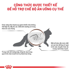 Thức Ăn Hạt Cho Mèo Tiêu Búi Lông Royal Canin Hairball
