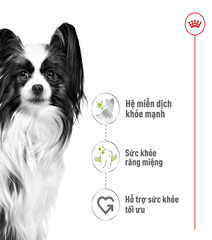 Thức Ăn Hạt Cho Chó Xsmall Adult
