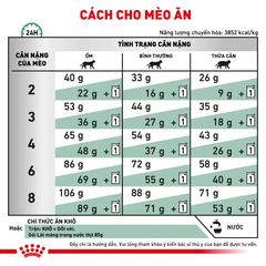 Thức Ăn Hạt Cho Mèo Tiểu Đường Royal Canin Diabetic