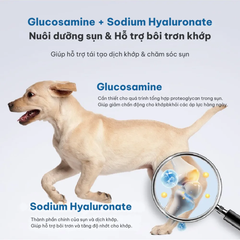 Snack cho thú cưng hỗ trợ xương khớp Dr.Vet