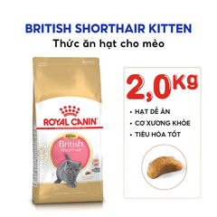 Hạt Cho Mèo Anh Lông Ngắn Con Royal Canin British Shorthair Kitten