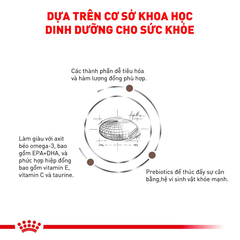 Thức Ăn Hạt Cho Mèo Hỗ Trợ Gan Royal Canin Hepatic