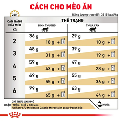 Thức Ăn Hạt Cho Mèo Sỏi Thận Royal Canin Urinary S/O