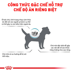 Thức Ăn Hạt Cho Chó Dị Ứng Royal Canin Hypoallergenic Small