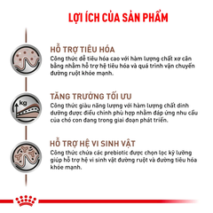 Thức Ăn Hạt Hỗ Trợ Tiêu Hóa Cho Chó Con Royal Canin Gastrointestinal Puppy