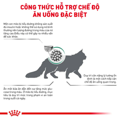 Thức Ăn Hạt Cho Mèo Tiểu Đường Royal Canin Diabetic