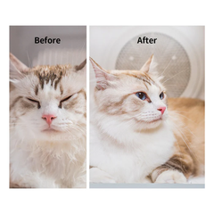 Lồng sấy lông chó mèo PETKIT AirSalon Max Pro Ozone