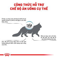 Thức Ăn Hạt Cho Mèo Dị Ứng Royal Canin Hypoallergenic
