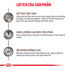 Pate Cho Mèo Hỗ Trợ Tiêu Hóa Royal Canin Gastro Intestinal