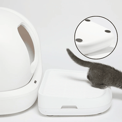 Bậc thang tăng chiều cao - Khay hứng cát mèo PETKIT