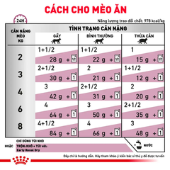 Pate Cho Mèo Suy Thận Royal Canin Renal
