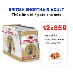 Pate Cho Mèo Anh Lông Ngắn Trưởng Thành Royal Canin British Shorthair