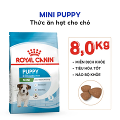 Thức Ăn Hạt Cho Chó Con Giống Nhỏ Royal Canin Mini Puppy