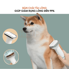 Máy chải hút lông chó mèo Neakasa P1 Pro 5-in-1 Pet Grooming Vacuum