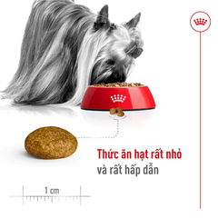 Thức Ăn Hạt Cho Chó Xsmall Adult