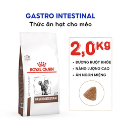 Thức Ăn Hạt Cho Mèo Hỗ Trợ Tiêu Hóa Royal Canin Gastrointestinal