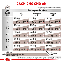 Thức Ăn Hạt Cho Chó Hỗ Trợ Gan Royal Canin Hepatic