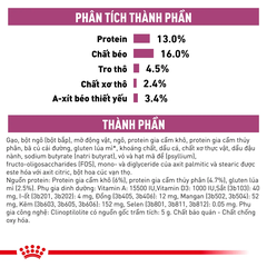 Thức Ăn Hạt Cho Chó Suy Thận Royal Canin Renal