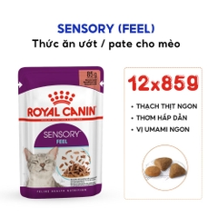 Pate Cho Mèo Kích Thích Giác Quan Royal Canin Sensory