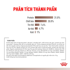 Thức Ăn Hạt Cho Mèo Hỗ Trợ Tiêu Hóa Royal Canin Gastrointestinal