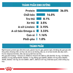 Thức Ăn Hạt Cho Mèo Hỗ Trợ Da & Lông Royal Canin Skin & Coat