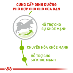 Thức Ăn Hạt Cho Chó Xsmall Adult