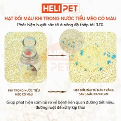 Cát đậu nành phát hiện máu Max Clean