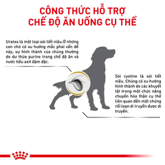 Thức Ăn Hạt Cho Chó Sỏi Thận Royal Canin Urinary S/O