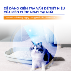 Hạt test máu trong nước tiểu mèo DR.VET
