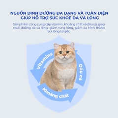 Viên tiêu búi lông cho mèo DR.VET (180 viên)