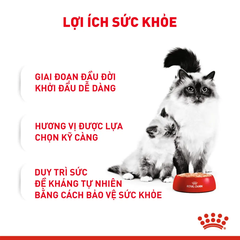 Pate Cho Mèo Mẹ & Mèo Con Royal Canin Mother & Babycat Lon 195g