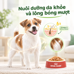 Pate Cho Chó Mini Adult