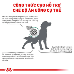 Thức Ăn Hạt Cho Chó Tiểu Đường Royal Canin Diabetic