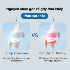 Snack cho thú cưng hỗ trợ xương khớp Dr.Vet
