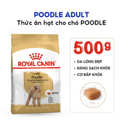 Hạt Cho Chó Poodle Trưởng Thành Royal Canin Poodle Adult