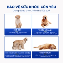 Vitamin tổng hợp cho chó DR.VET chứa Lentinan (200 viên)