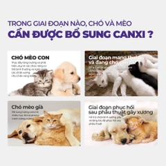 Viên bổ sung canxi cho chó mèo DR.VET (200 viên)