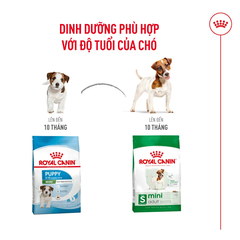 Thức Ăn Hạt Cho Chó Trưởng Thành Giống Nhỏ Royal Canin Mini Adult