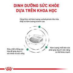 Thức Ăn Hạt Cho Chó Tiểu Đường Royal Canin Diabetic